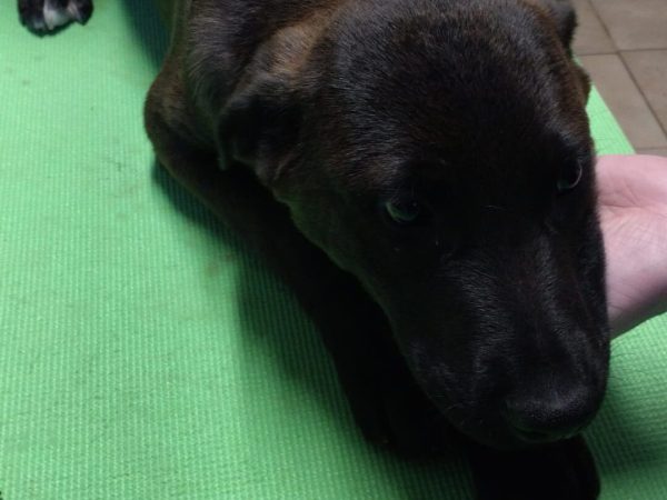 WhatsApp Image 2026-02-06 at 16.14.12