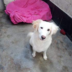 WhatsApp Image 2026-02-18 at 10.18.14