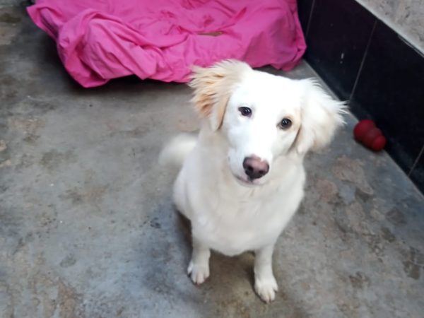 WhatsApp Image 2026-02-18 at 10.18.14