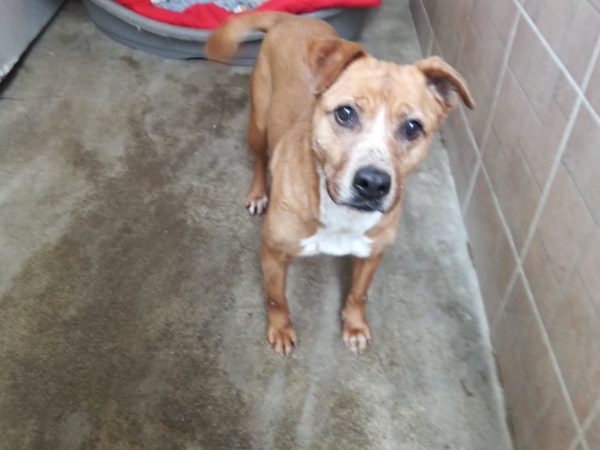 WhatsApp Image 2026-02-19 at 11.23.22