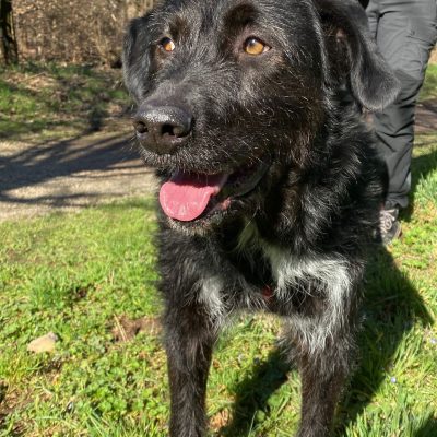 WhatsApp Image 2026-02-19 at 15.15.56