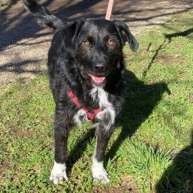 WhatsApp Image 2026-02-19 at 15.15.57 (1)