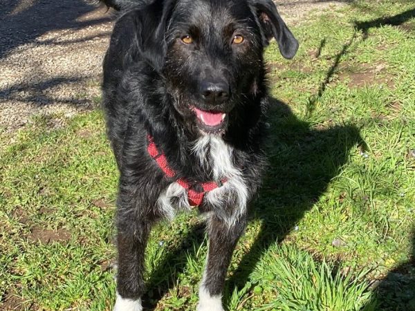 WhatsApp Image 2026-02-19 at 15.15.57 (1)