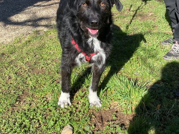 WhatsApp Image 2026-02-19 at 15.15.57 (1)