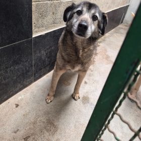 WhatsApp Image 2026-02-21 at 12.20.43