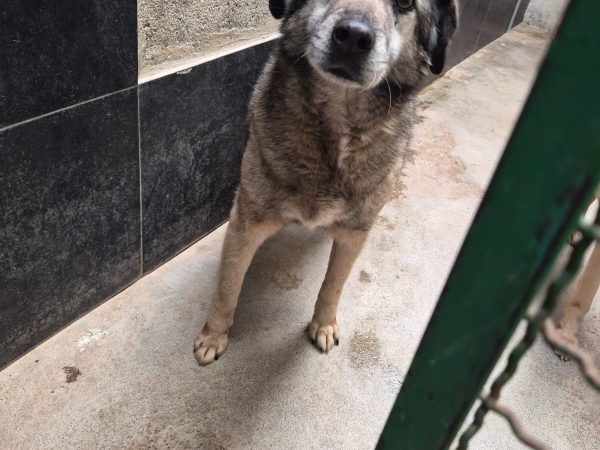 WhatsApp Image 2026-02-21 at 12.20.43