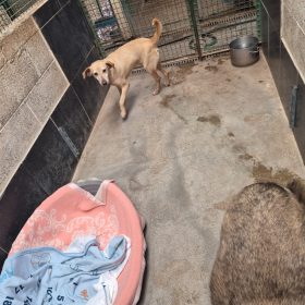 WhatsApp Image 2026-02-21 at 12.20.58