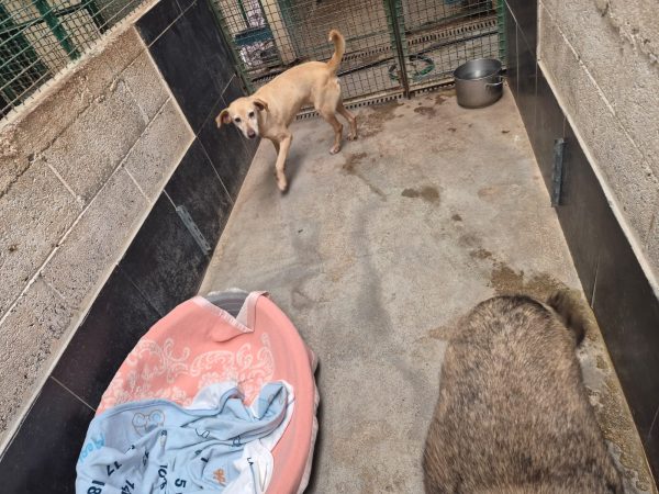 WhatsApp Image 2026-02-21 at 12.20.58