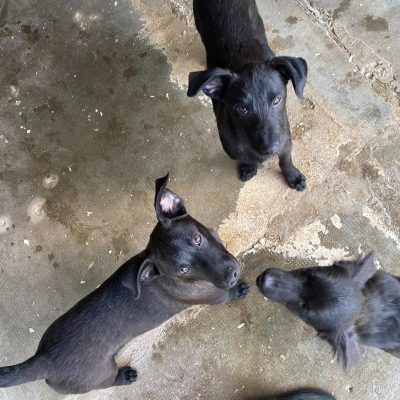 WhatsApp Image 2026-02-22 at 12.26.15 (1)