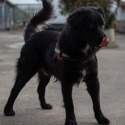 WhatsApp Image 2026-02-24 at 17.33.05