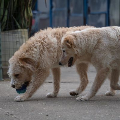 WhatsApp Image 2026-03-02 at 112.20.19