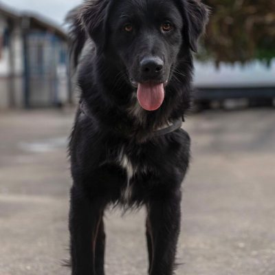 WhatsApp Image 2026-03-02 at 12.20.1128