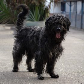 WhatsApp Image 2026-03-02 at 12.20.18