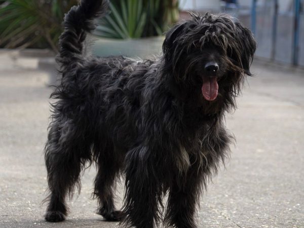 WhatsApp Image 2026-03-02 at 12.20.18