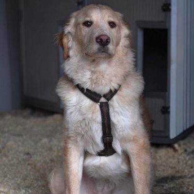 WhatsApp Image 2026-03-02 at 12.20.210