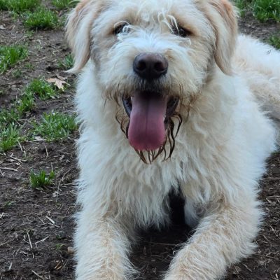 WhatsApp Image 2026-03-03 at 21.59.43