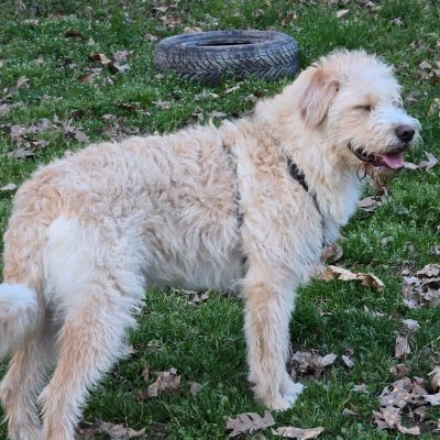 WhatsApp Image 2026-03-03 at 22.00.12