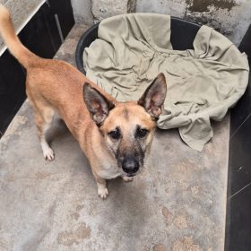 WhatsApp Image 2026-03-04 at 14.19.02