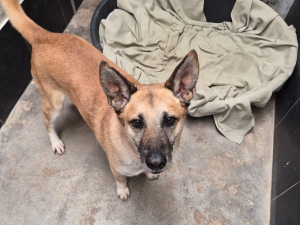 WhatsApp Image 2026-03-04 at 14.19.02