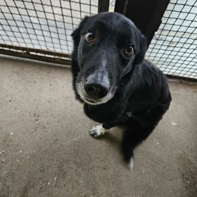 WhatsApp Image 2026-03-04 at 14.41.40