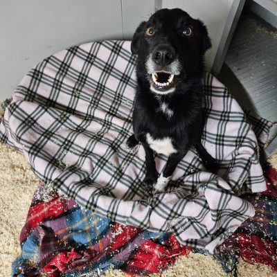 WhatsApp Image 2026-03-04 at 14.41.41