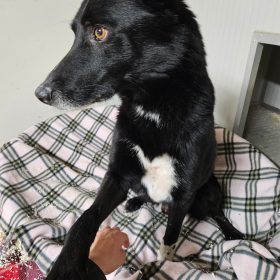 WhatsApp Image 2026-03-04 at 14.41.48