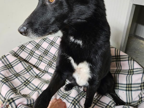 WhatsApp Image 2026-03-04 at 14.41.48