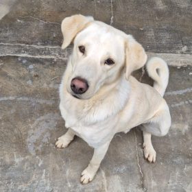 WhatsApp Image 2026-03-10 at 16.26.53