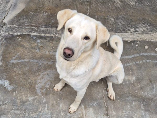 WhatsApp Image 2026-03-10 at 16.26.53