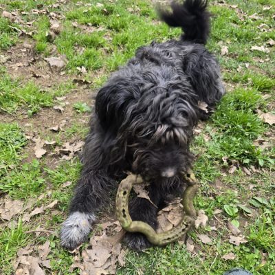 WhatsApp Image 2026-03-10 at 16.53.23