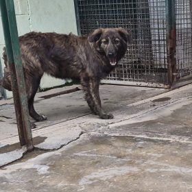 WhatsApp Image 2026-03-10 at 17.04.09