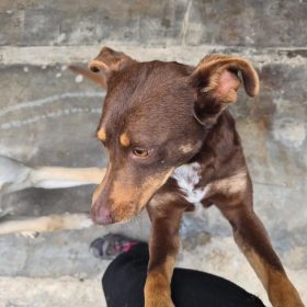 WhatsApp Image 2026-03-10 at 17.06.03