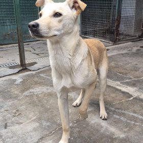 WhatsApp Image 2026-03-10 at 17.06.32