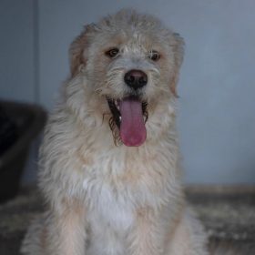 WhatsApp Image 2026-03-102 at 12.20.19