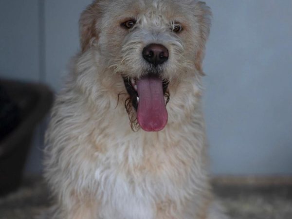 WhatsApp Image 2026-03-102 at 12.20.19