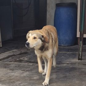 WhatsApp Image 2026-03-11 at 23.10.20