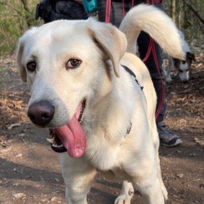 WhatsApp Image 2026-03-13 at 18.29.31