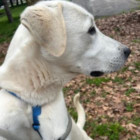 WhatsApp Image 2026-03-14 at 10.21.01