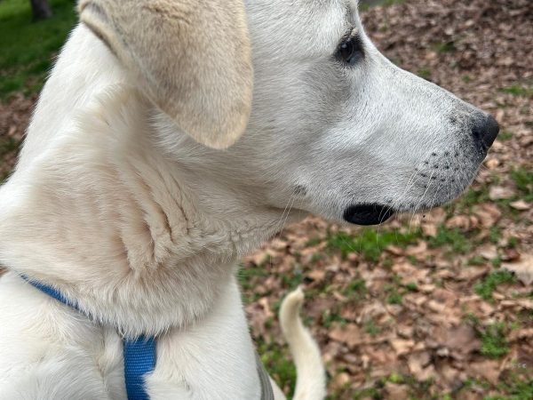 WhatsApp Image 2026-03-14 at 10.21.01