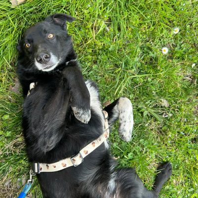 WhatsApp Image 2026-03-14 at 15.18.23