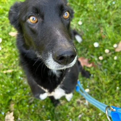 WhatsApp Image 2026-03-14 at 15.18.231