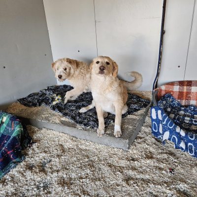 WhatsApp Image 2026-03-14 at 15.31.07