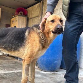 WhatsApp Image 2026-03-21 at 20.08.40