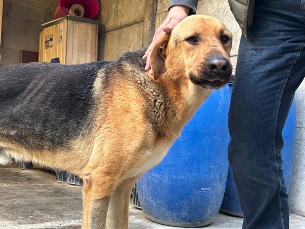 WhatsApp Image 2026-03-21 at 20.08.40