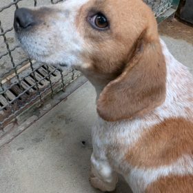 WhatsApp Image 2026-03-22 at 14.07.56