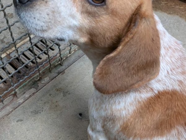 WhatsApp Image 2026-03-22 at 14.07.56