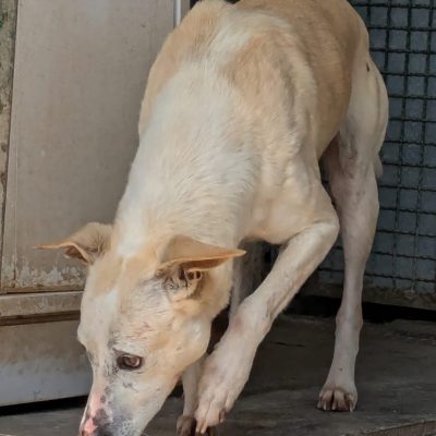 WhatsApp Image 2026-03-22 at 14.11.29