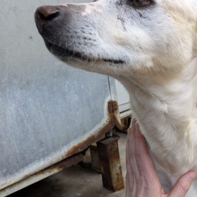 WhatsApp Image 2026-03-22 at 14.12.01