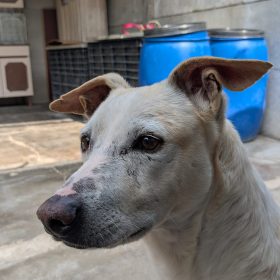 WhatsApp Image 2026-03-22 at 14.12.44