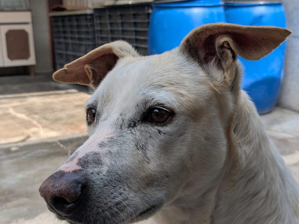 WhatsApp Image 2026-03-22 at 14.12.44